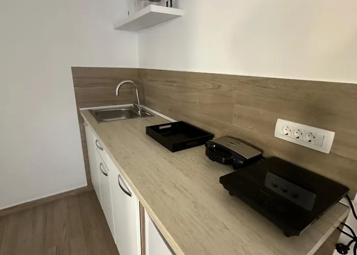 Apartma Tara 公寓 *